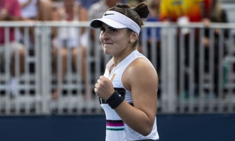 andreescu_5.jpg