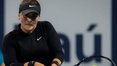 andreescu_6.jpg