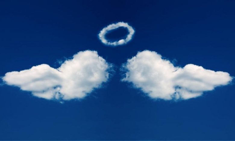 Corupție? Nici vorbă! 1 angel.jpg