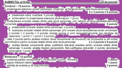 baremromumanxii.jpg