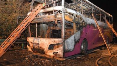 bus_4.jpg