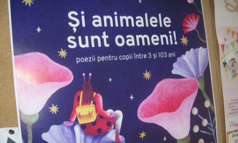 carte_13.jpg