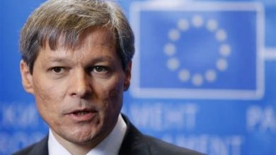 ciolos_9.jpg