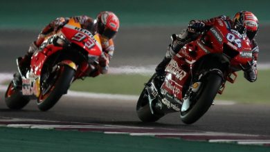dovi_2.jpg
