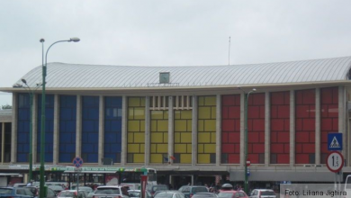 gara-tricolor3.jpg