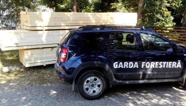 gardaforestiera_2.jpg