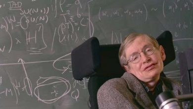 hawking_2.jpg