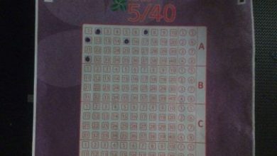 loto5_7.jpg