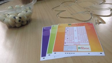 loto_230.jpg