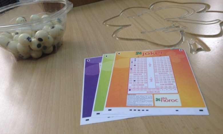 loto_230.jpg