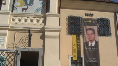 rege-casa-sfatului.jpg