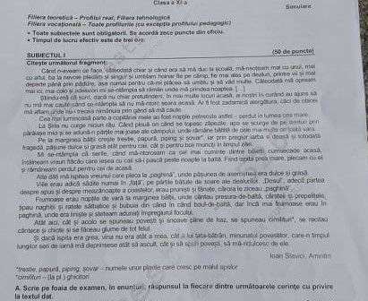 BAC 2019. Subiect mai „vesel” la română pentru elevii de-a XI-a 1 subiecte-romana-simulare-bacxi.jpg