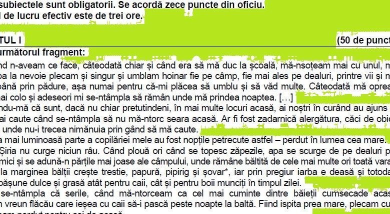 BAC 2019. Subiectele la română, a XI-a, toate profilurile 1 subrombacxi.jpg