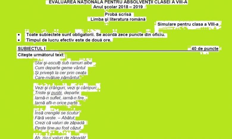 EN 2019. Subiectul la Limba şi literatura română - clasa a VIII-a 1 subromviii.jpg