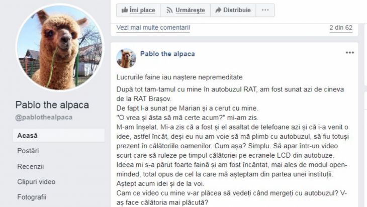 Pablo_265577.JPG