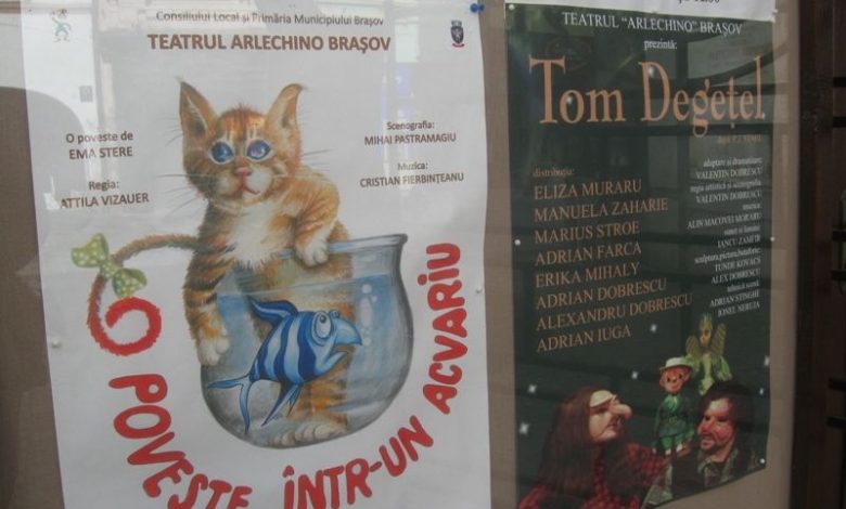BRAȘOV. Basme clasice la teatrele pentru copii 1 arlechino_87.jpg