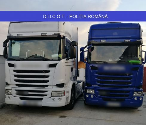 auto_265885.jpg