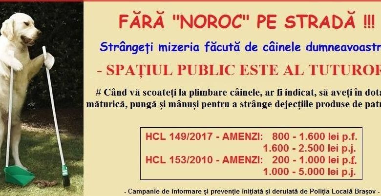 BRAŞOV. „Fără «noroc» pe stradă!” 1 cainistrada.jpg
