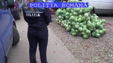 controalestupini2.png
