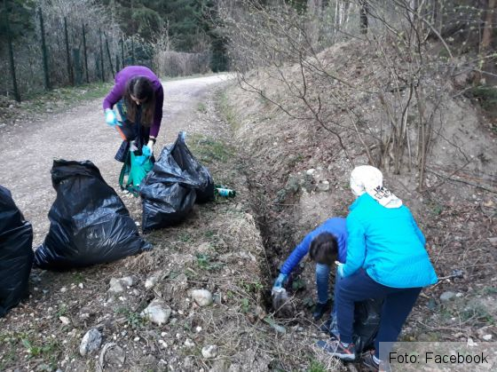 eco sacele 2_265554.jpg