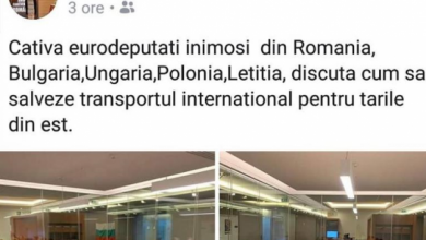 grapini.png