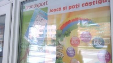 loto_242.jpg