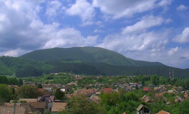 magura-codlei.jpg