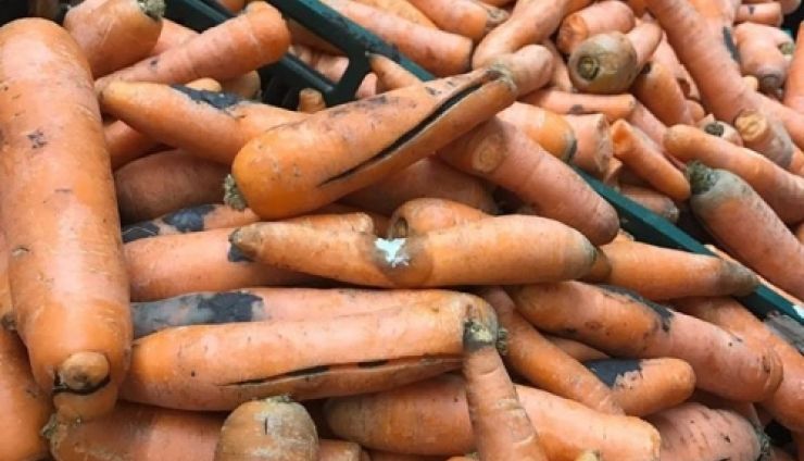 Aproape 80% din marile magazine verificate de ANPC au primit sancţiuni pentru nereguli la raioanele de fructe şi legume 1 morcovisupermarket.jpg