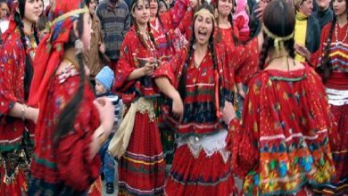 romi-ziua-internationala.jpg
