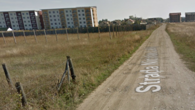 str-labis_2.png