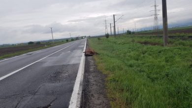 IMG-20190510-WA0003_266909.jpg