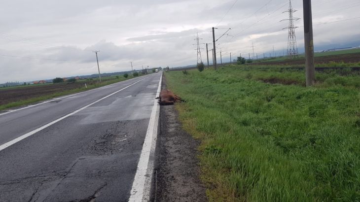 IMG-20190510-WA0003_266909.jpg