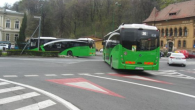 autobuze-Livada (10)_266675.JPG