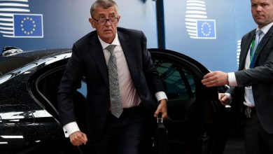 babis_2.jpg