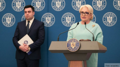 dancila-cuc.jpg