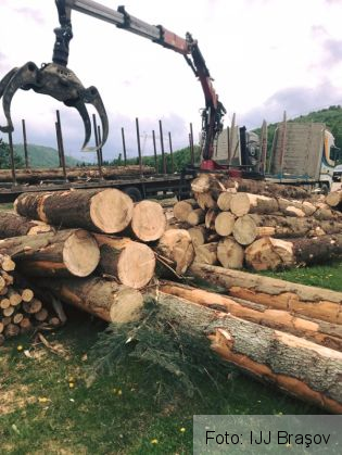 BRAŞOV. Jandarmii au aplicat sancţiuni de 11.000 de lei, pe linie silvică 1 jandarmi lemne 2_267177.jpg