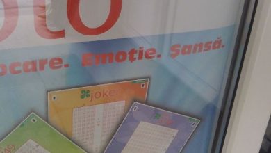 loto_247.jpg