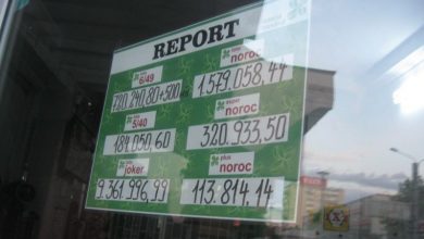 loto_251.jpg