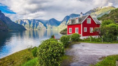 norvegia1_2.jpg