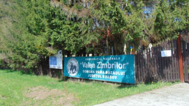 valea_267320.JPG