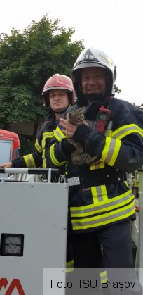 Două pisici au fost salvate de pompieri 1 IMG-20190614-WA0052_268684.jpg