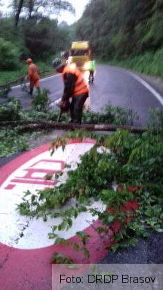 IMG-20190620-WA0021_268882.jpg
