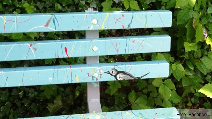 BRAŞOV. Artă pe... bănci (FOTO) 1 banci 5_268592.jpg