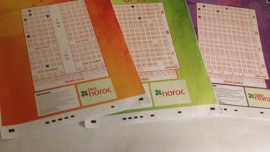 loto_255.jpg