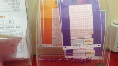 loto_256.jpg