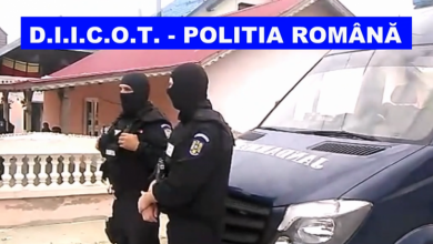 perchezitii_3.png