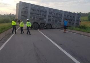 tir dn 13 2_268751.jpg