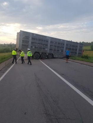 tir dn 13 2_268751.jpg