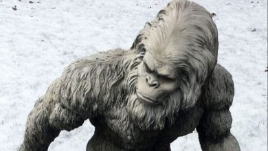yeti.jpg