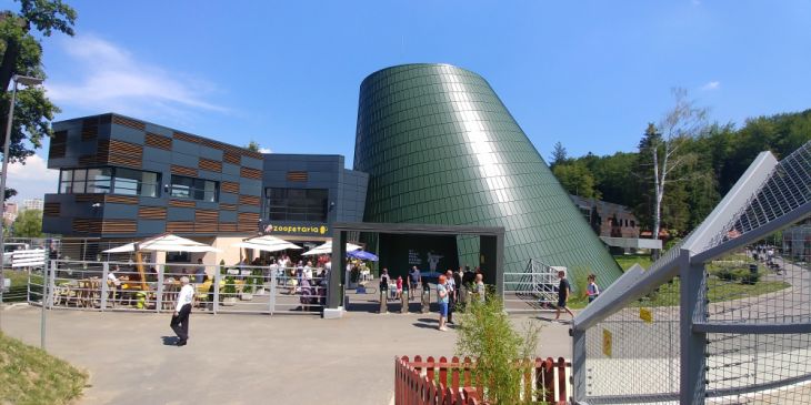 20190721_145409_270231.jpg